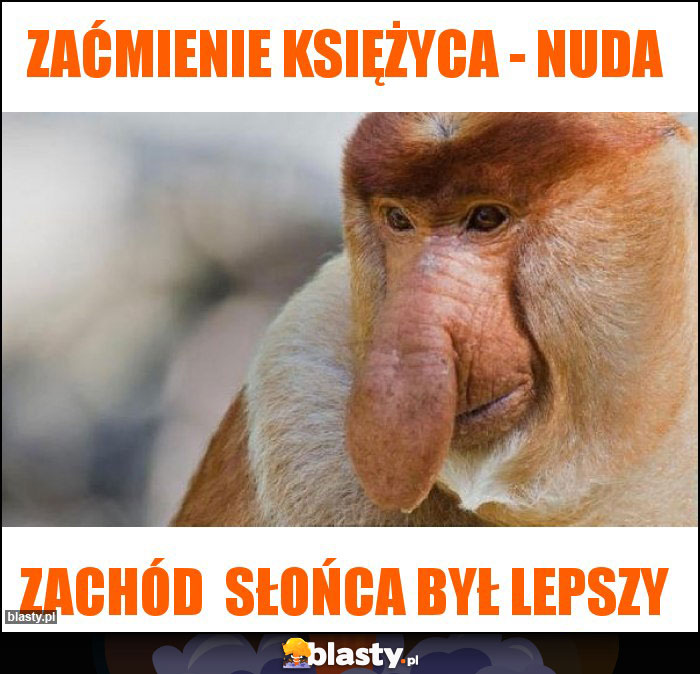 zaćmienie księżyca - nuda