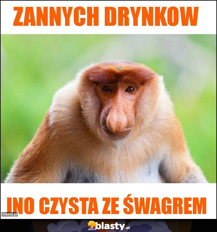 Zannych drynkow