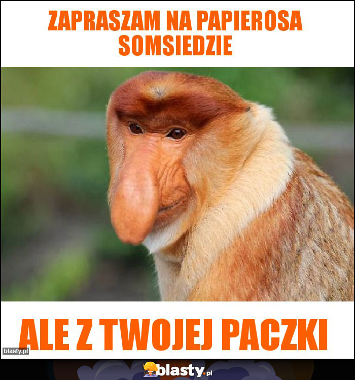 Zapraszam na papierosa somsiedzie