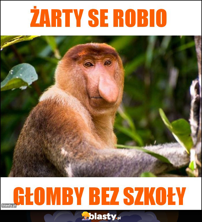 ŻARTY SE ROBIO