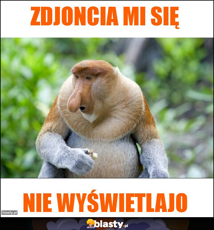 zdjoncia mi się