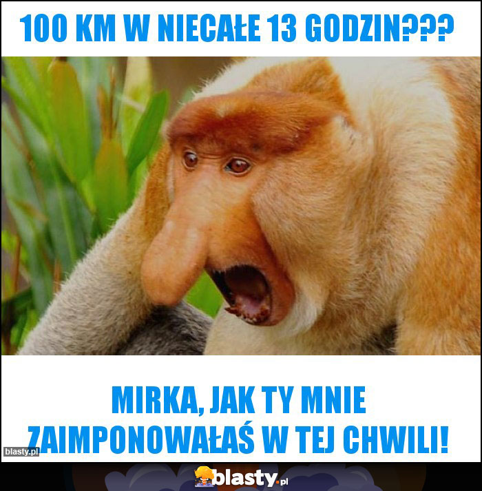 100 km w niecałe 13 godzin???