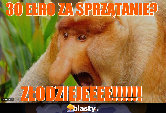 30 ełro za sprzątanie?