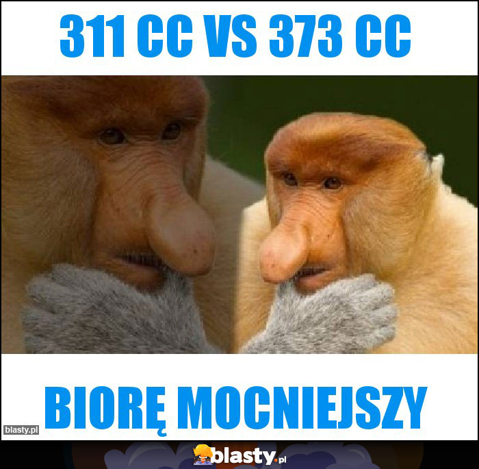 311 cc vs 373 cc