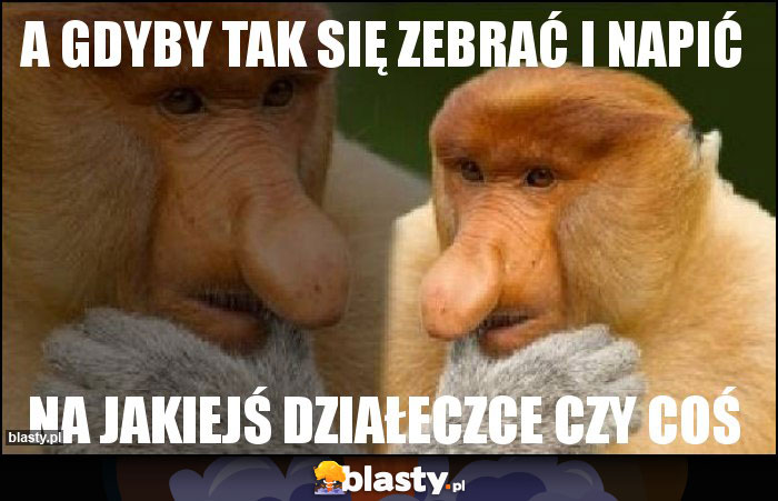 a gdyby tak się zebrać i napić