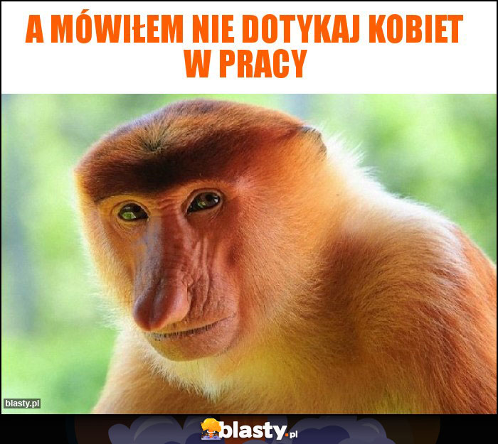 A mówiłem nie dotykaj kobiet w pracy