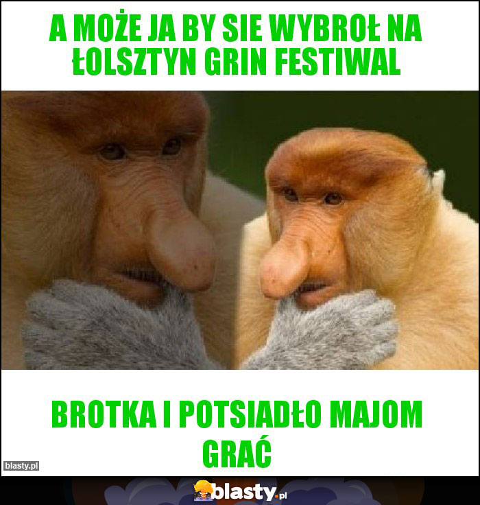 A może ja by sie wybroł na Łolsztyn Grin festiwal