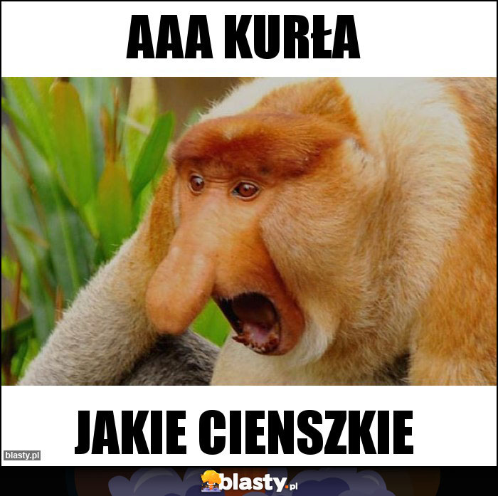 aaa kurła