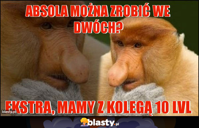 absola można zrobić we dwóch?