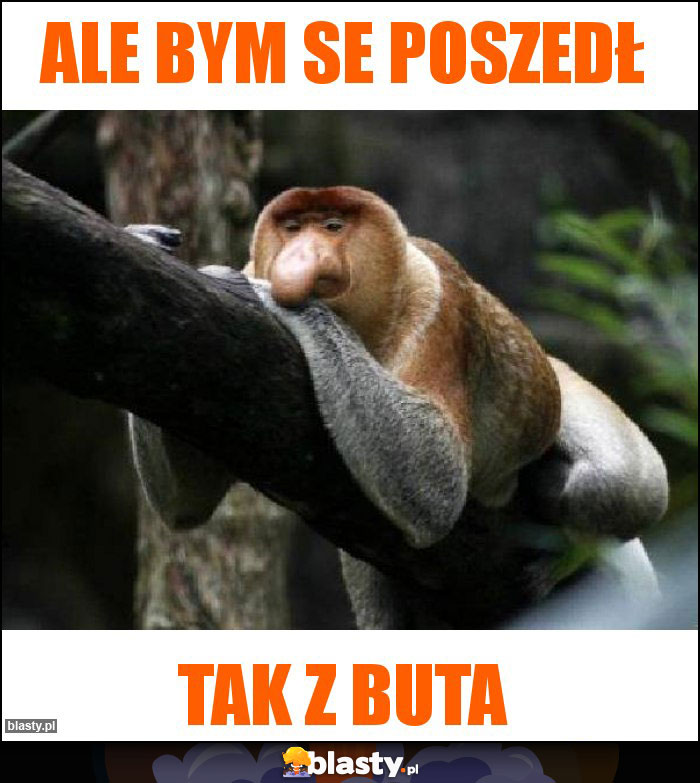 Ale bym se poszedł