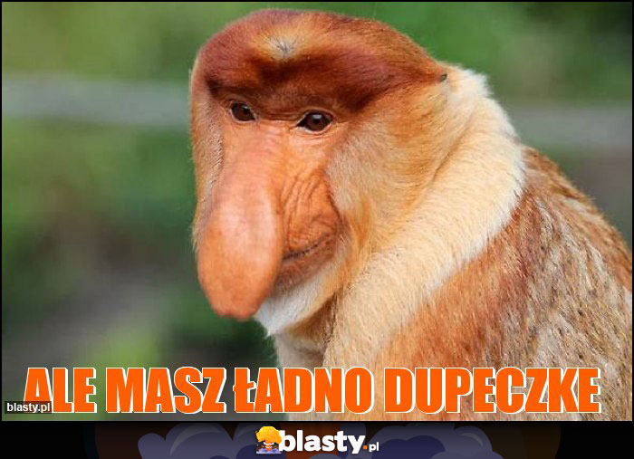 Ale masz ładno dupeczke