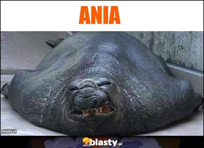 ANIA