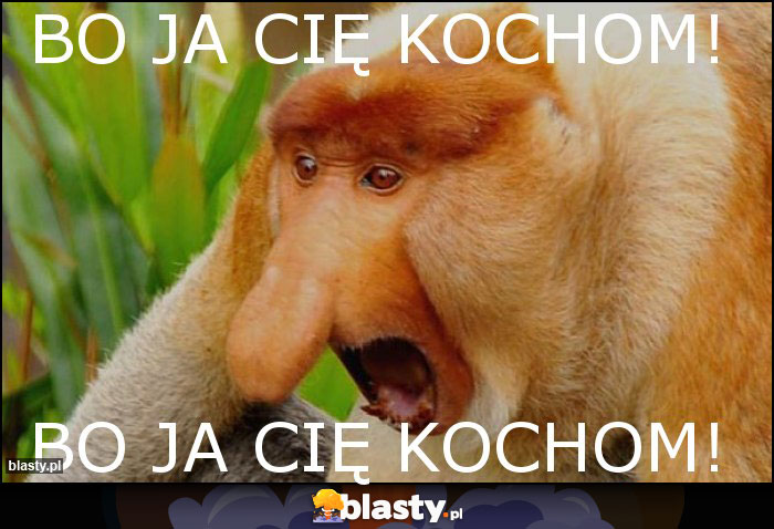 Bo ja Cię kochom!