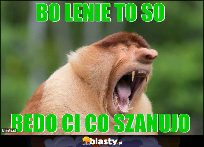 bo lenie to so