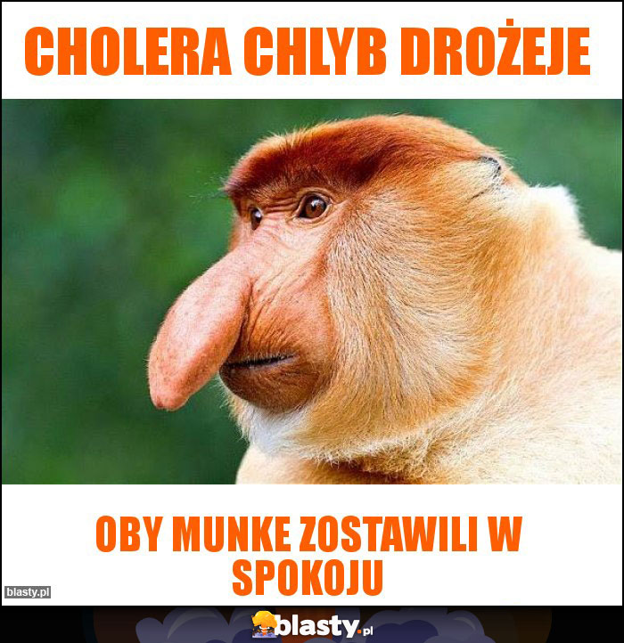 cholera chlyb drożeje