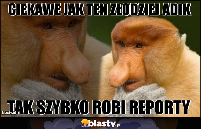 Ciekawe jak ten złodziej Adik