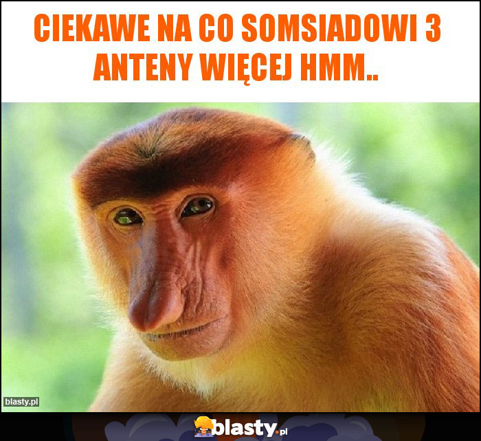 Ciekawe na co somsiadowi 3 anteny więcej hmm..