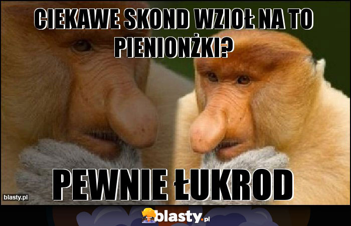 Ciekawe skond wzioł na to pienionżki?