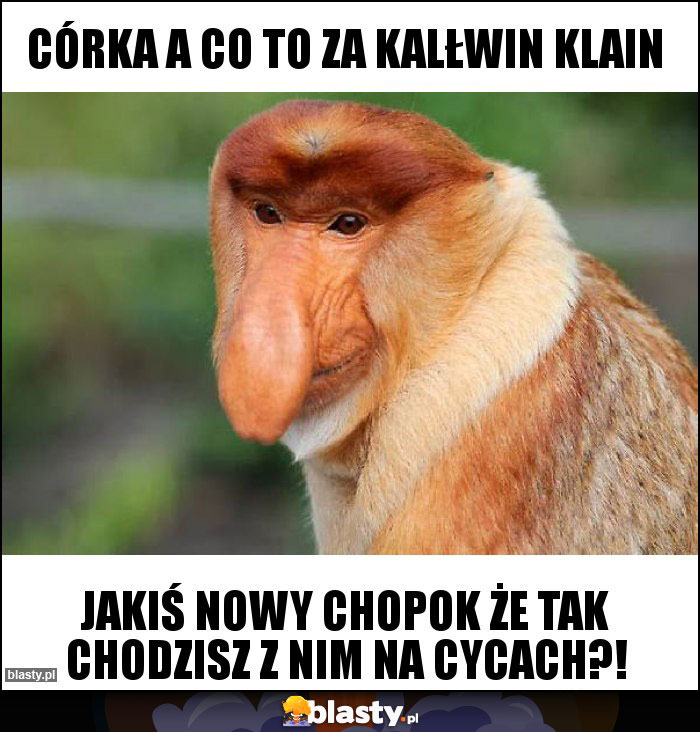 Córka a co to za kalłwin klain