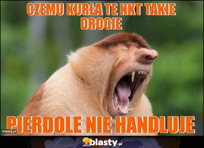 CZEMU KURŁA TE NKT TAKIE DROGIE