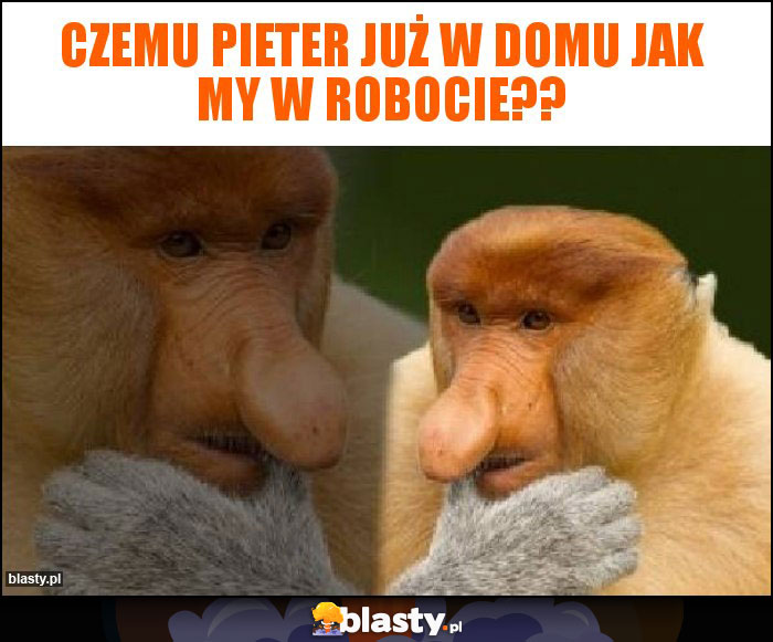 Czemu Pieter już w domu jak my w robocie??