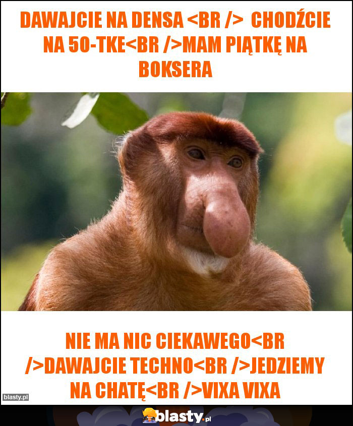 Dawajcie na densa 
  Chodźcie na 50-tke
Mam piątkę na boksera