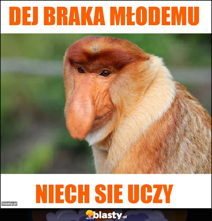 DEJ BRAKA MŁODEMU