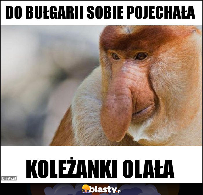 do bułgarii sobie pojechała