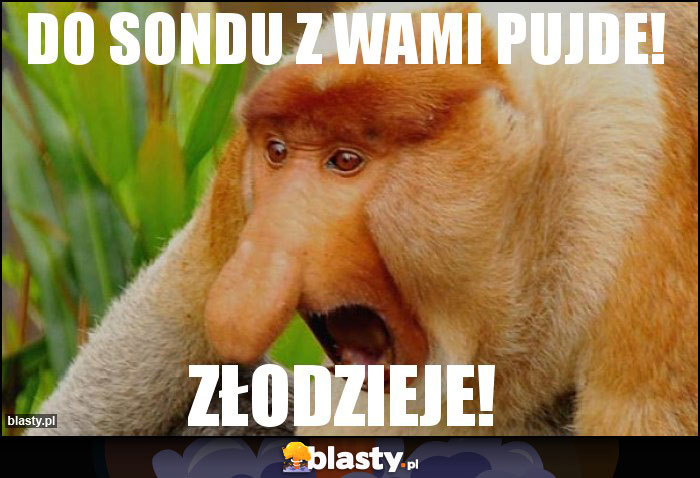 DO SONDU Z WAMI PUJDE!