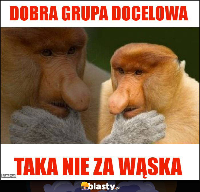 Dobra grupa docelowa