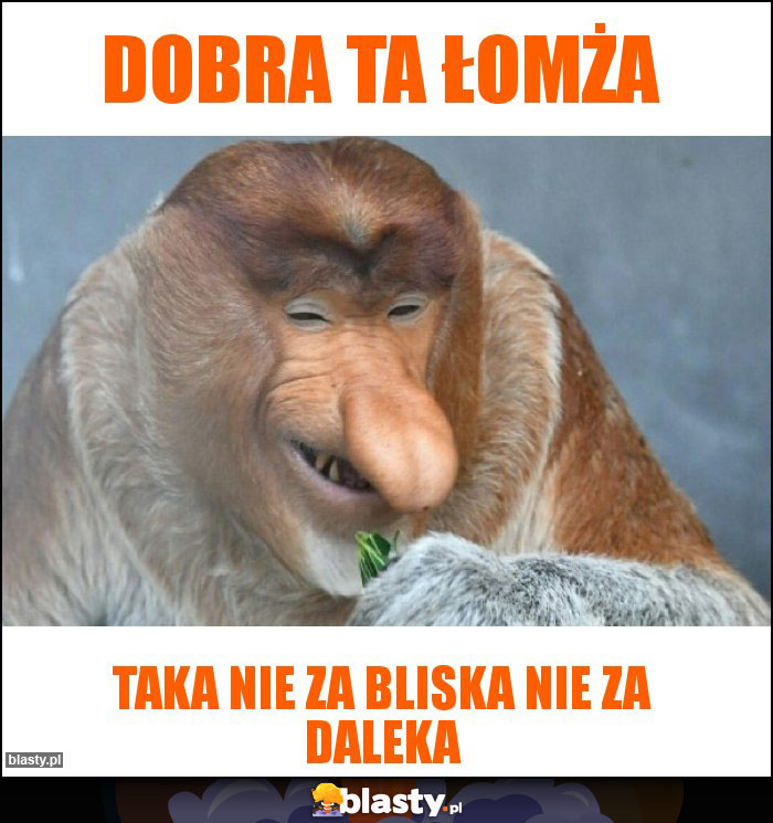 DOBRA TA ŁOMŻA