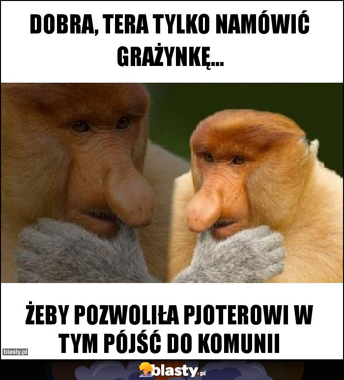 Dobra, tera tylko namówić Grażynkę...