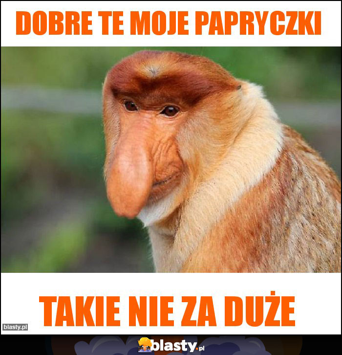 Dobre te moje papryczki