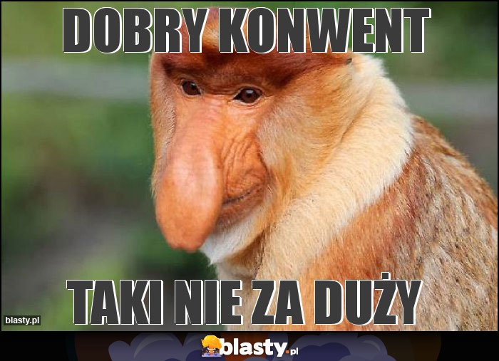 Dobry Konwent