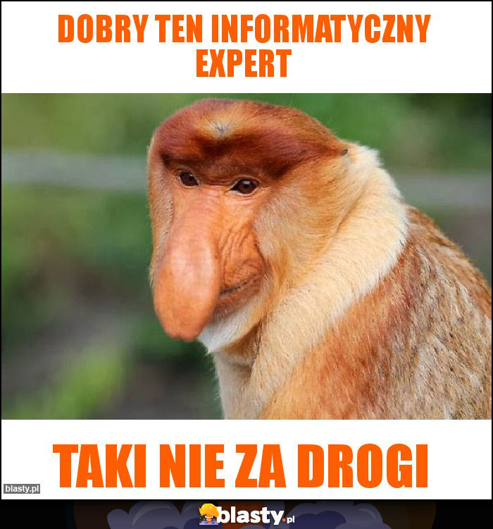 Dobry ten Informatyczny Expert