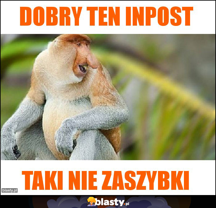 dobry ten inpost