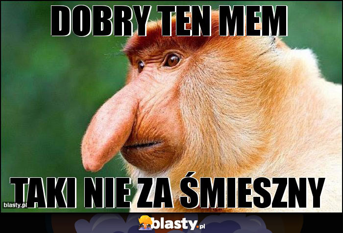 Dobry ten mem