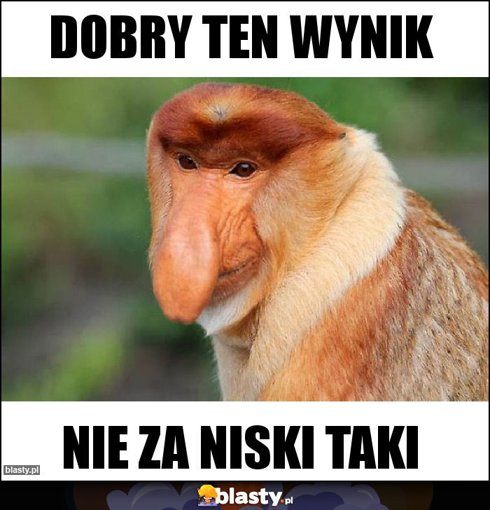 Dobry ten wynik