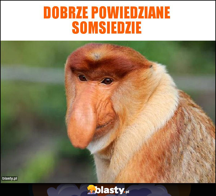 Dobrze powiedziane somsiedzie