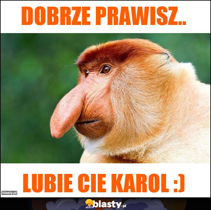 dobrze prawisz..