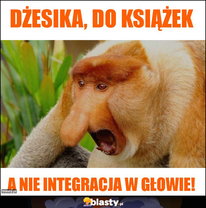 Dżesika, do książek