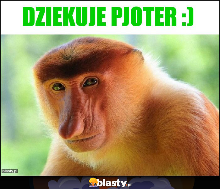 Dziekuje Pjoter :)