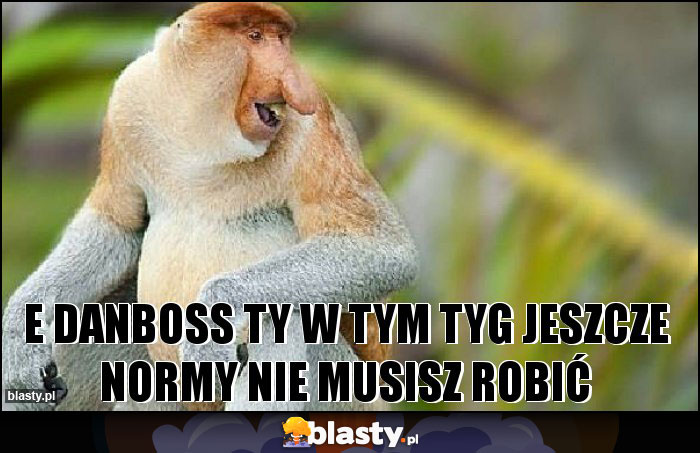 E Danboss Ty w tym tyg jeszcze normy nie musisz robić