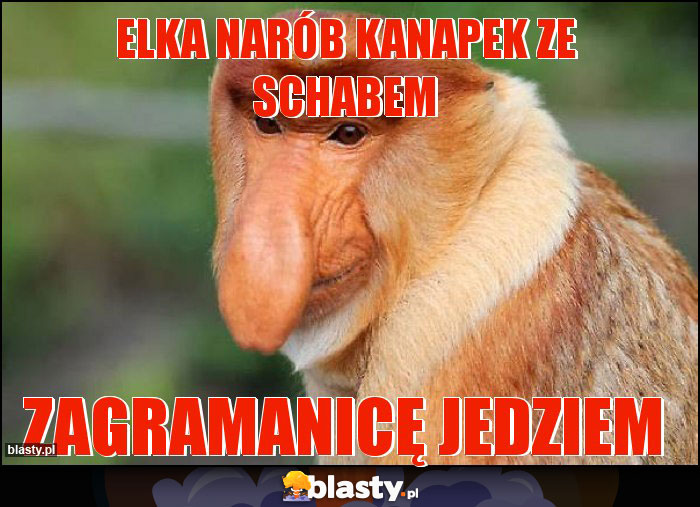 Elka narób kanapek ze schabem