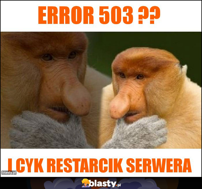 Error 503 ??