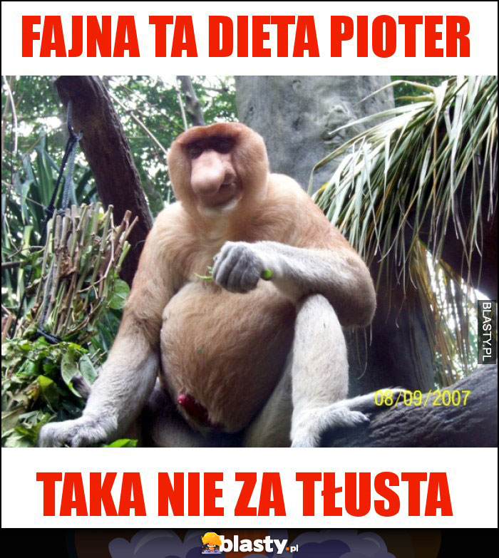 FAJNA TA DIETA PIOTER