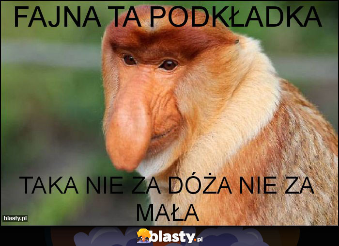 FAJNA TA PODKŁADKA