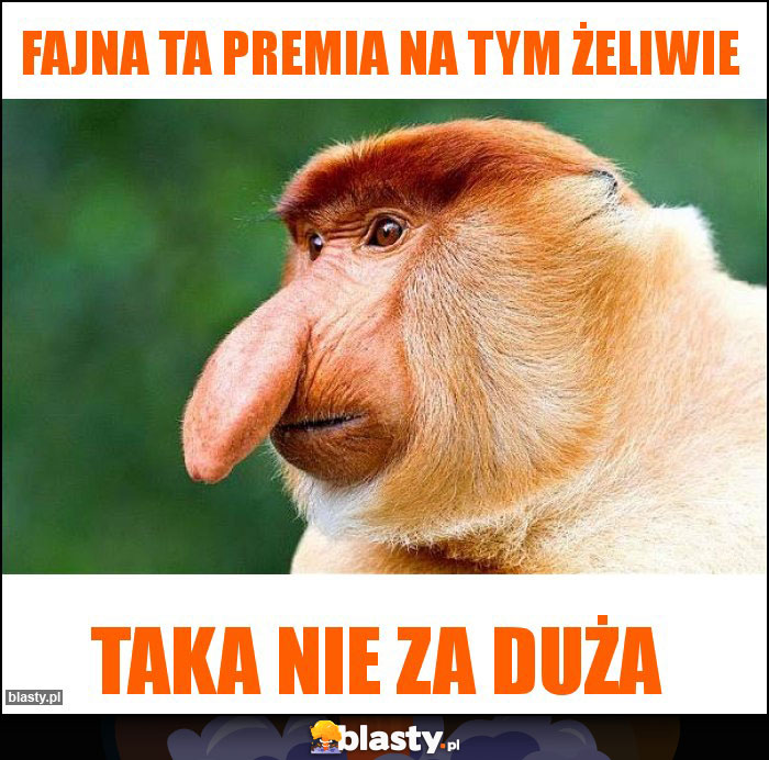 FAJNA TA PREMIA NA TYM ŻELIWIE