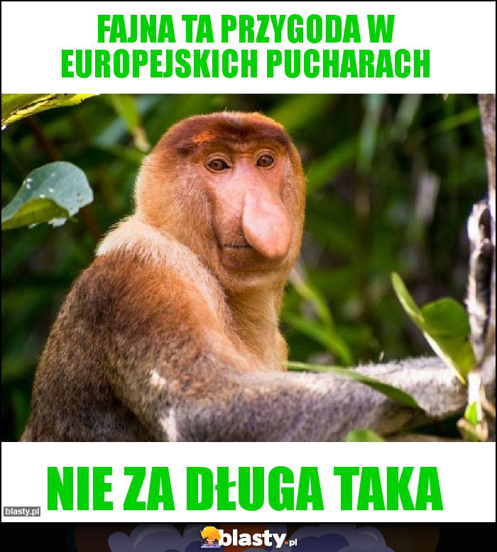 Fajna ta przygoda w europejskich pucharach