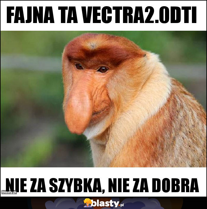 Fajna ta Vectra2.0DTI